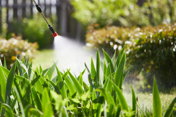 Tamper-Resistant Bait Stations for Rodents in Thornwood
