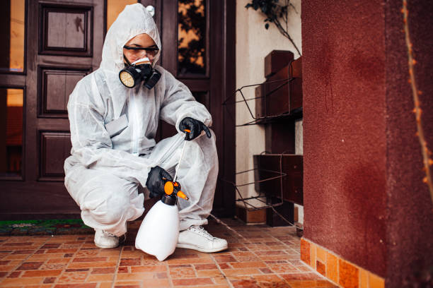 Attic and Crawl Space Rodent Treatment in Thornwood
