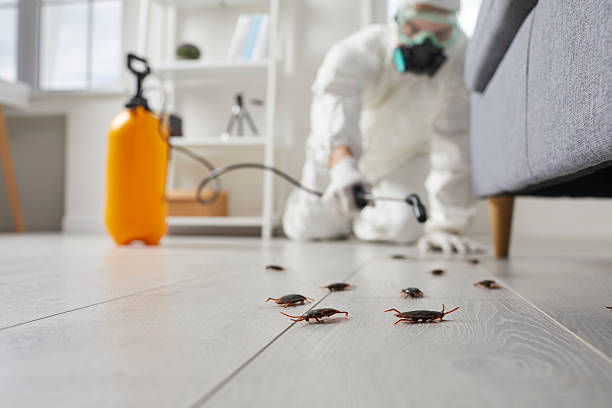 Commercial Rodent Management in Thornwood